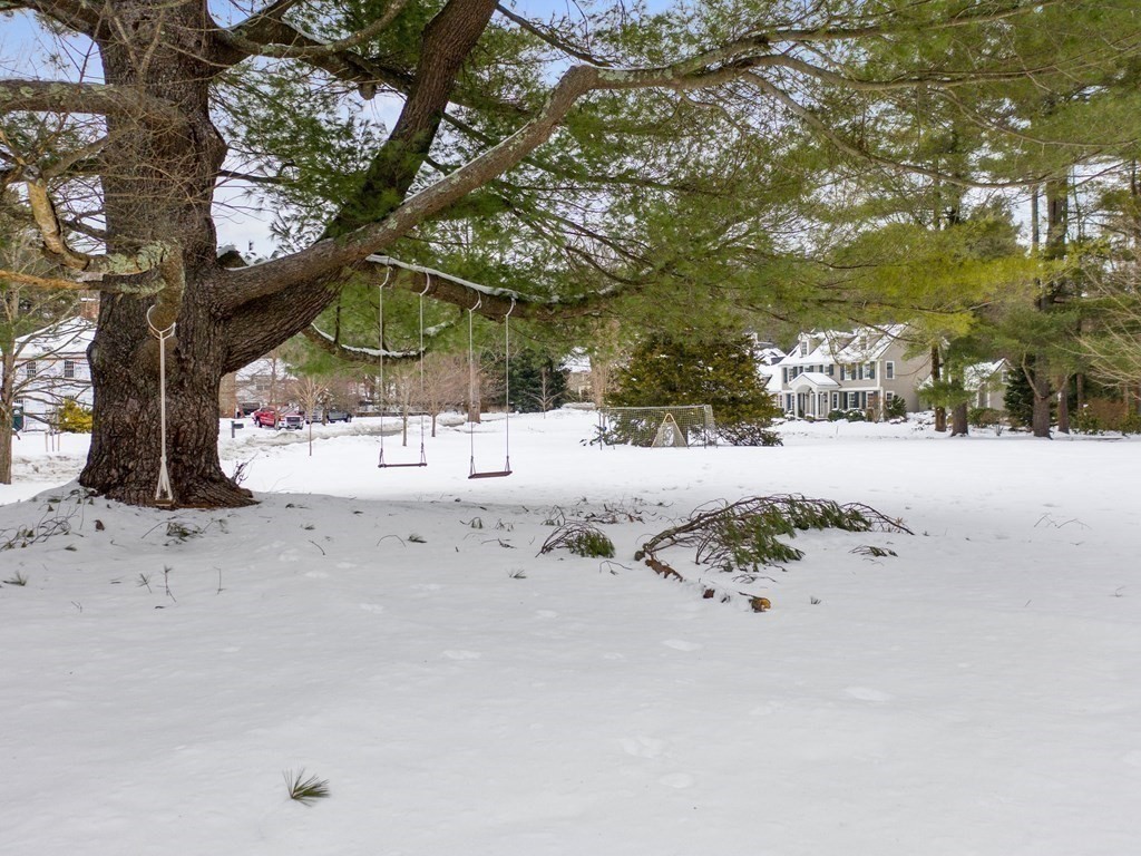 15 Longmeadow Road Wellesley, MA 02482 - Photo 29 of 33