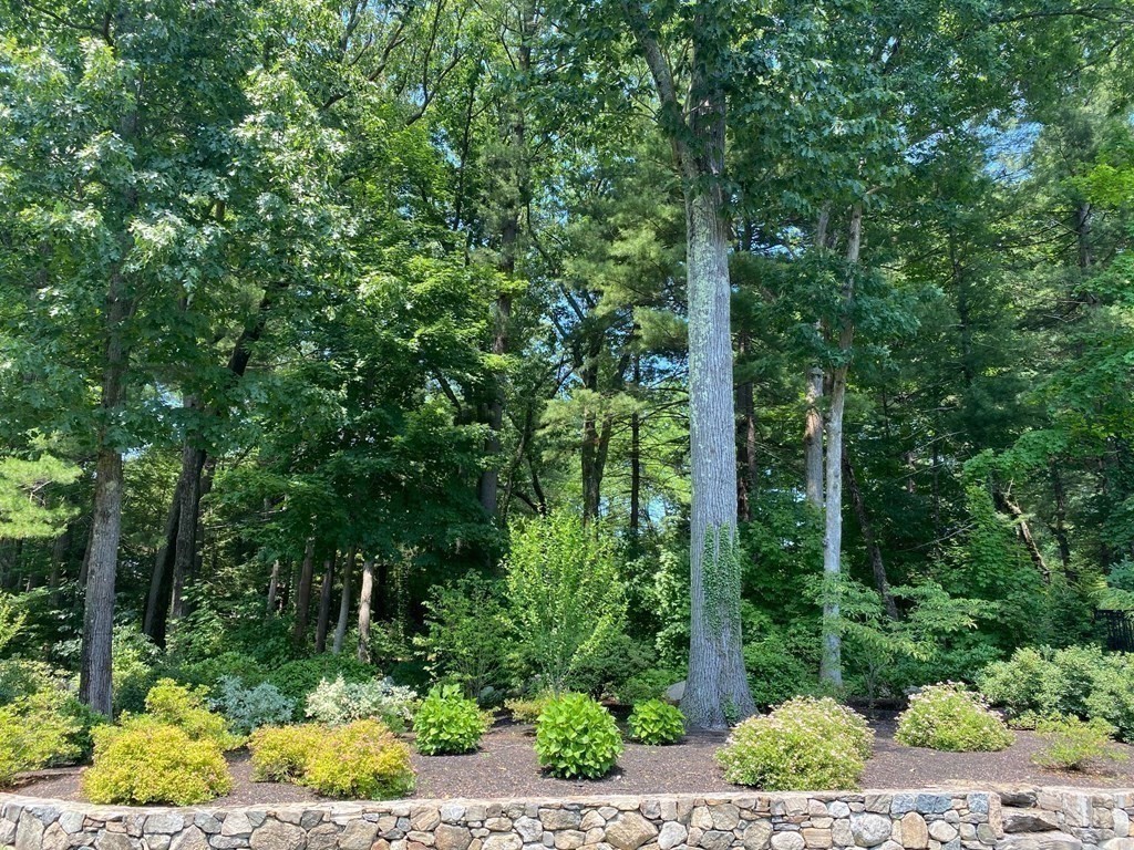 15 Longmeadow Road Wellesley, MA 02482 - Photo 31 of 33