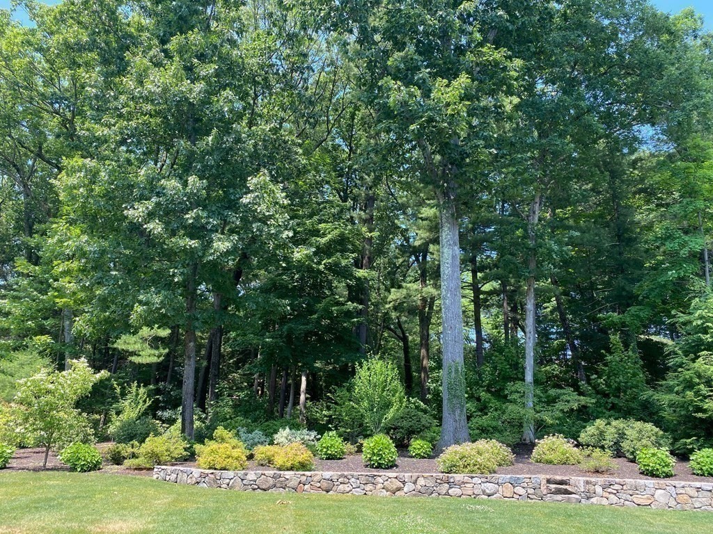 15 Longmeadow Road Wellesley, MA 02482 - Photo 32 of 33