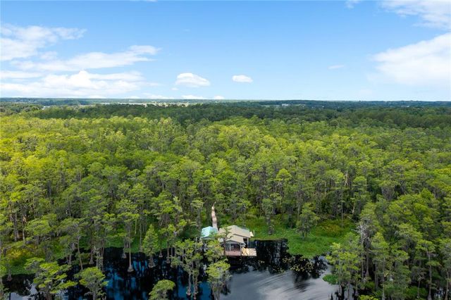 a view of a city with lush green forest