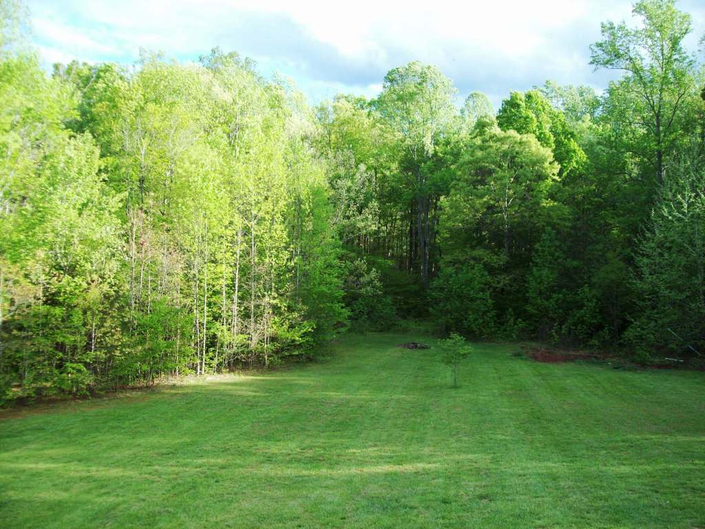 420 Alcock Road Amherst, VA 24521 - Photo 22 of 26 rear yard
