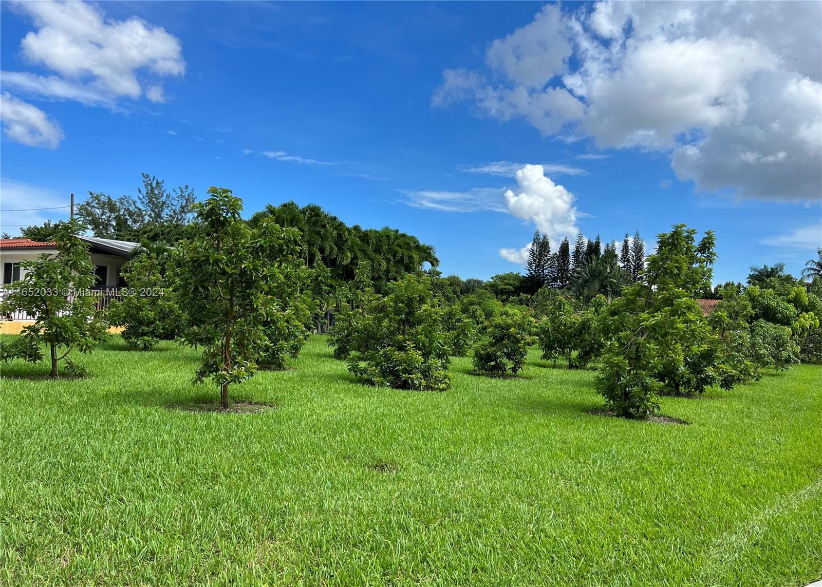 11866 Southwest 43rd Street Miami, FL 33175 - Photo 59 of 64 a view of a garden with a building in the background