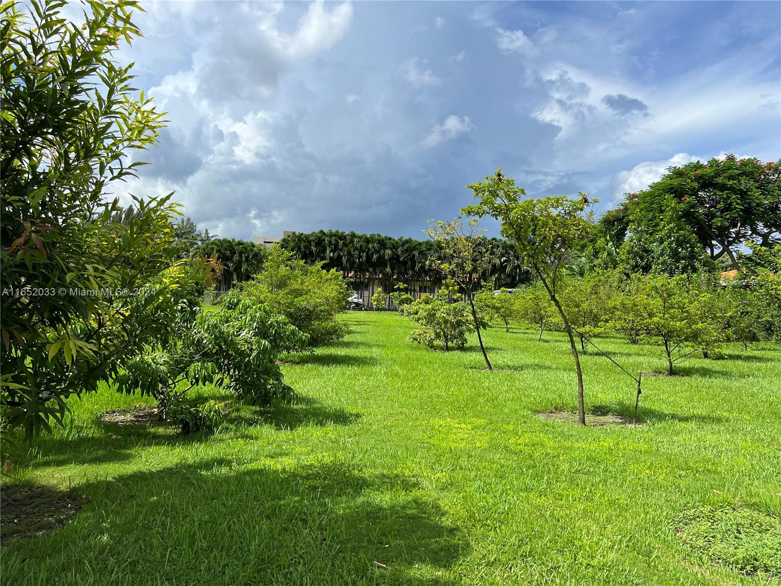 11866 Southwest 43rd Street Miami, FL 33175 - Photo 62 of 64 a view of yard with a big yard and potted plants