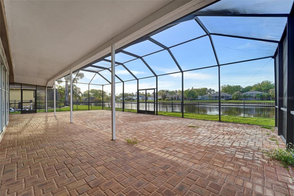 19111 Fern Meadow Loop Lutz, FL 33558 - Photo 31 of 47