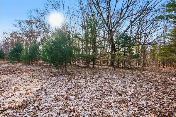 $60,000 | Vl West 100th Street, Grant, MI 49327