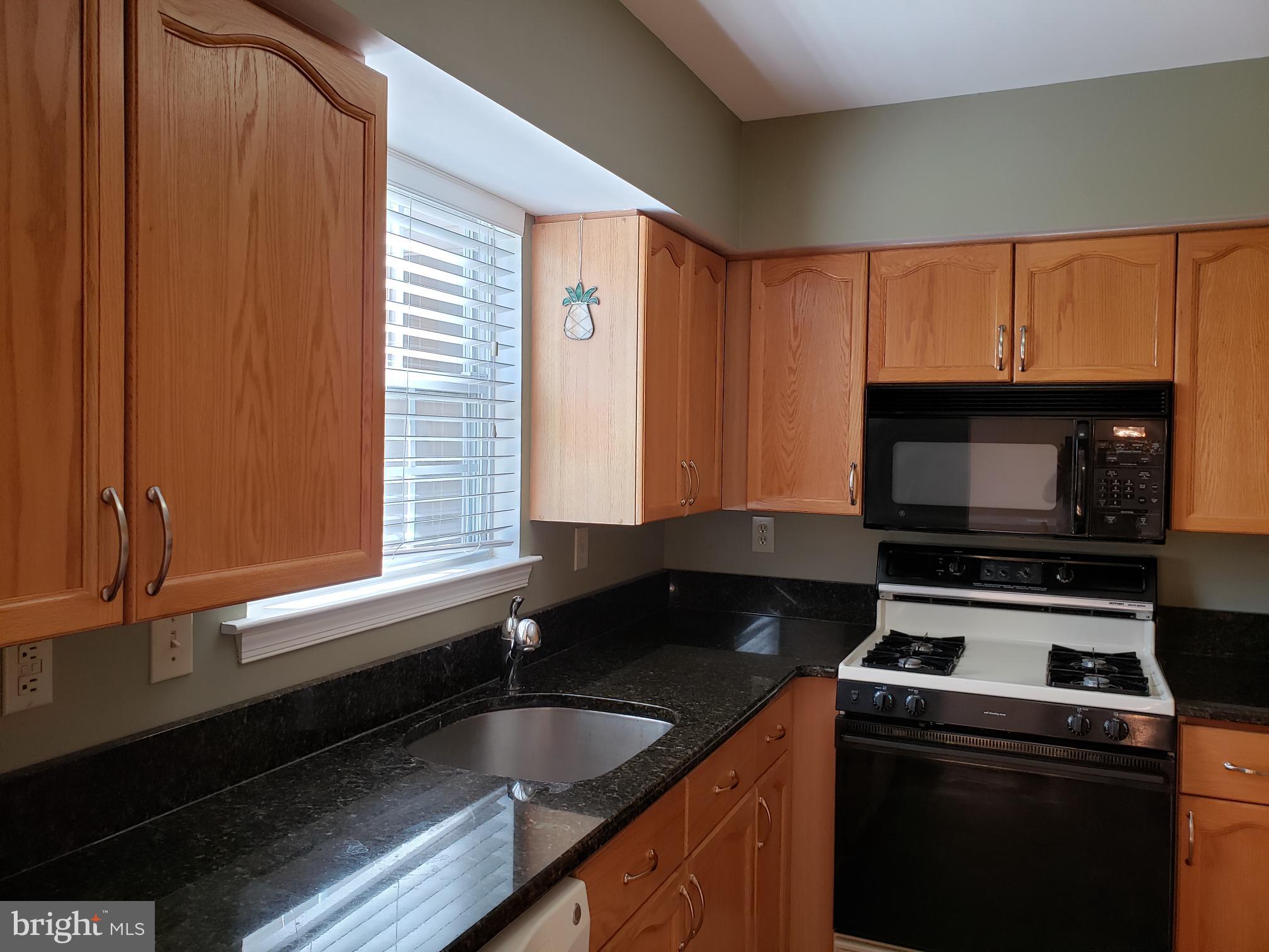 5527 Rinker Circle, Unit 356 Doylestown, PA 18902 - Photo 3 of 8 Kitchen with Granite