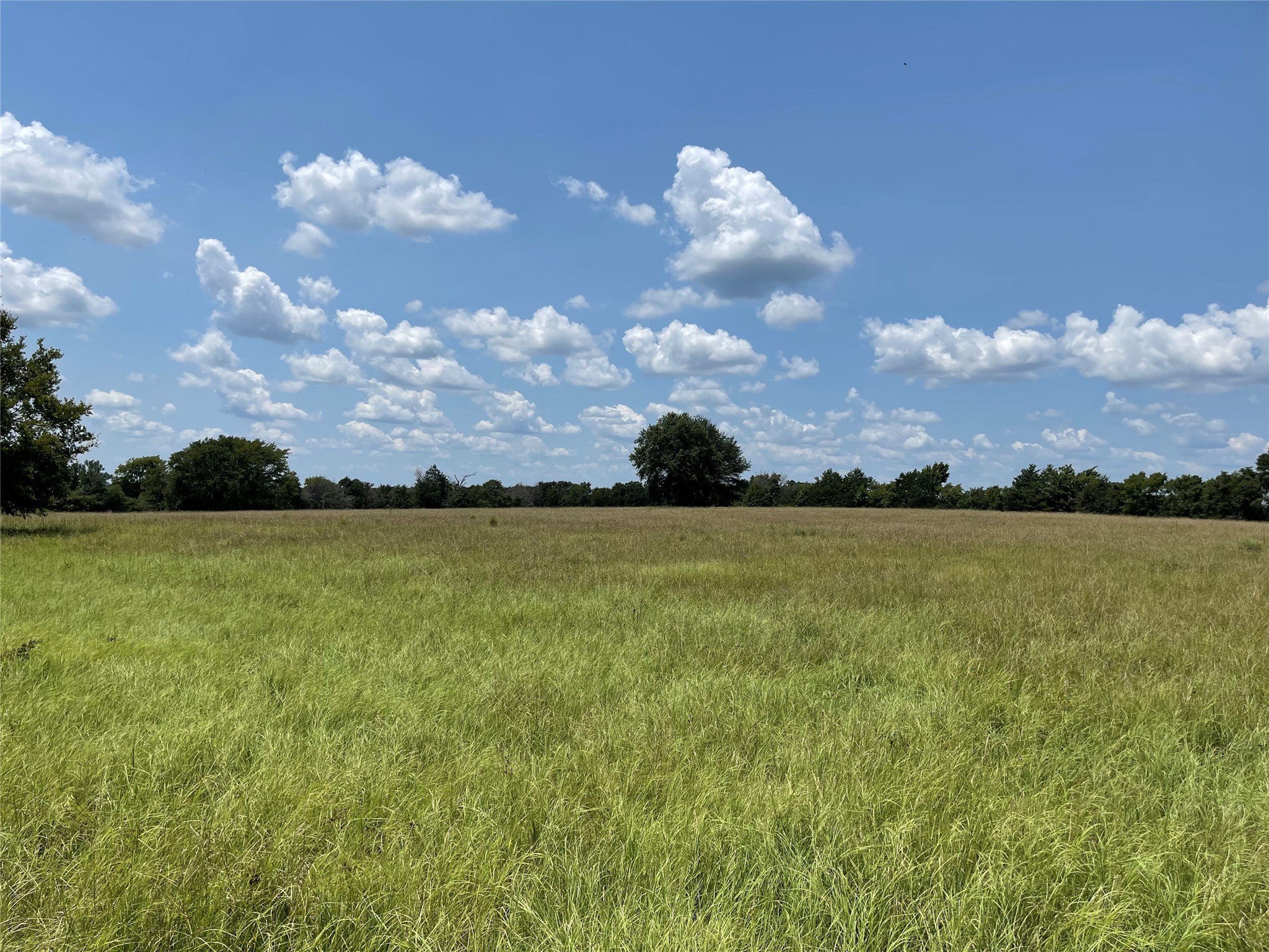 423 Lcr Groesbeck, TX 76642 - Photo 12 of 19