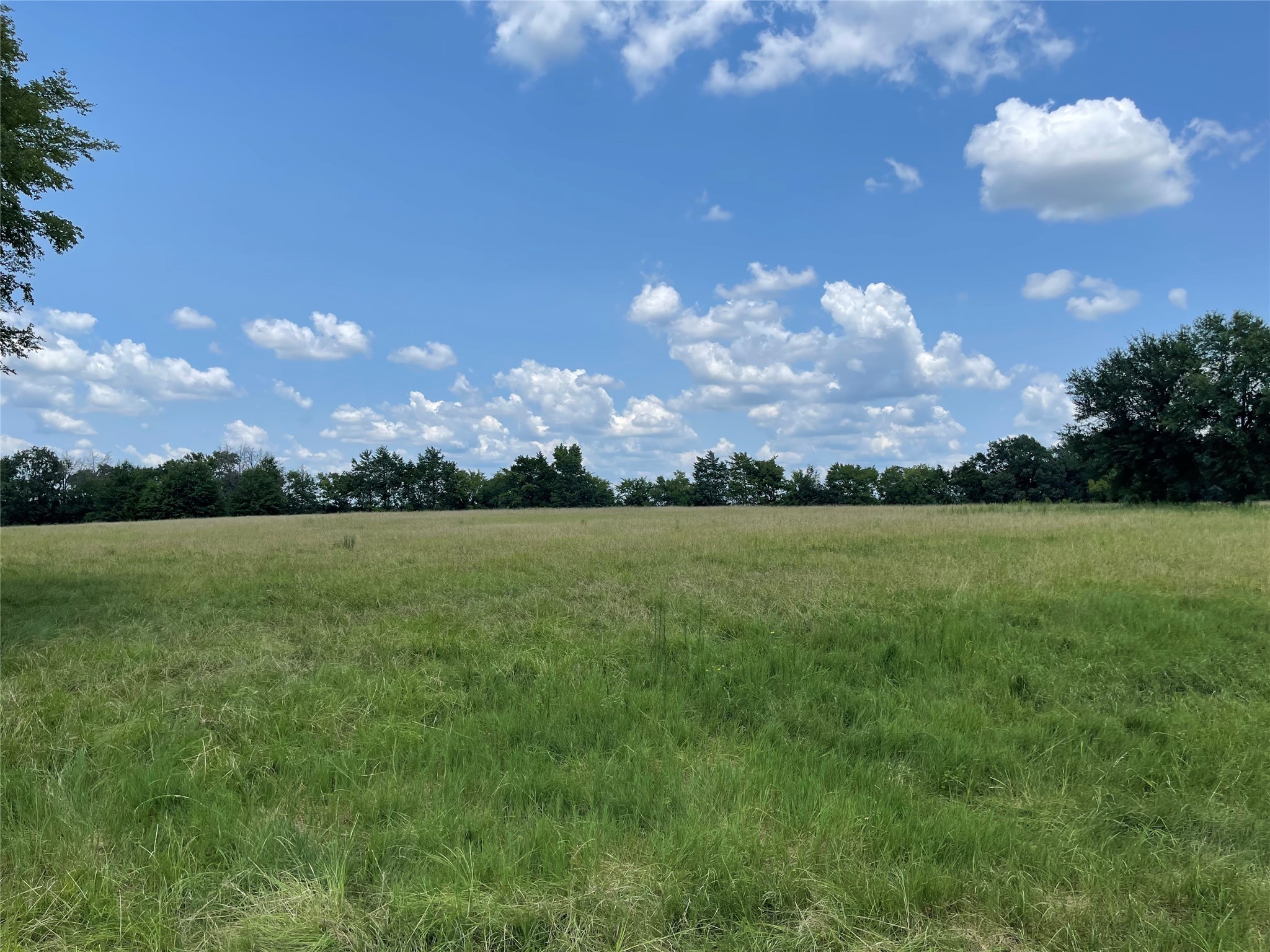 423 Lcr Groesbeck, TX 76642 - Photo 13 of 19 a view of a lake in middle of green field
