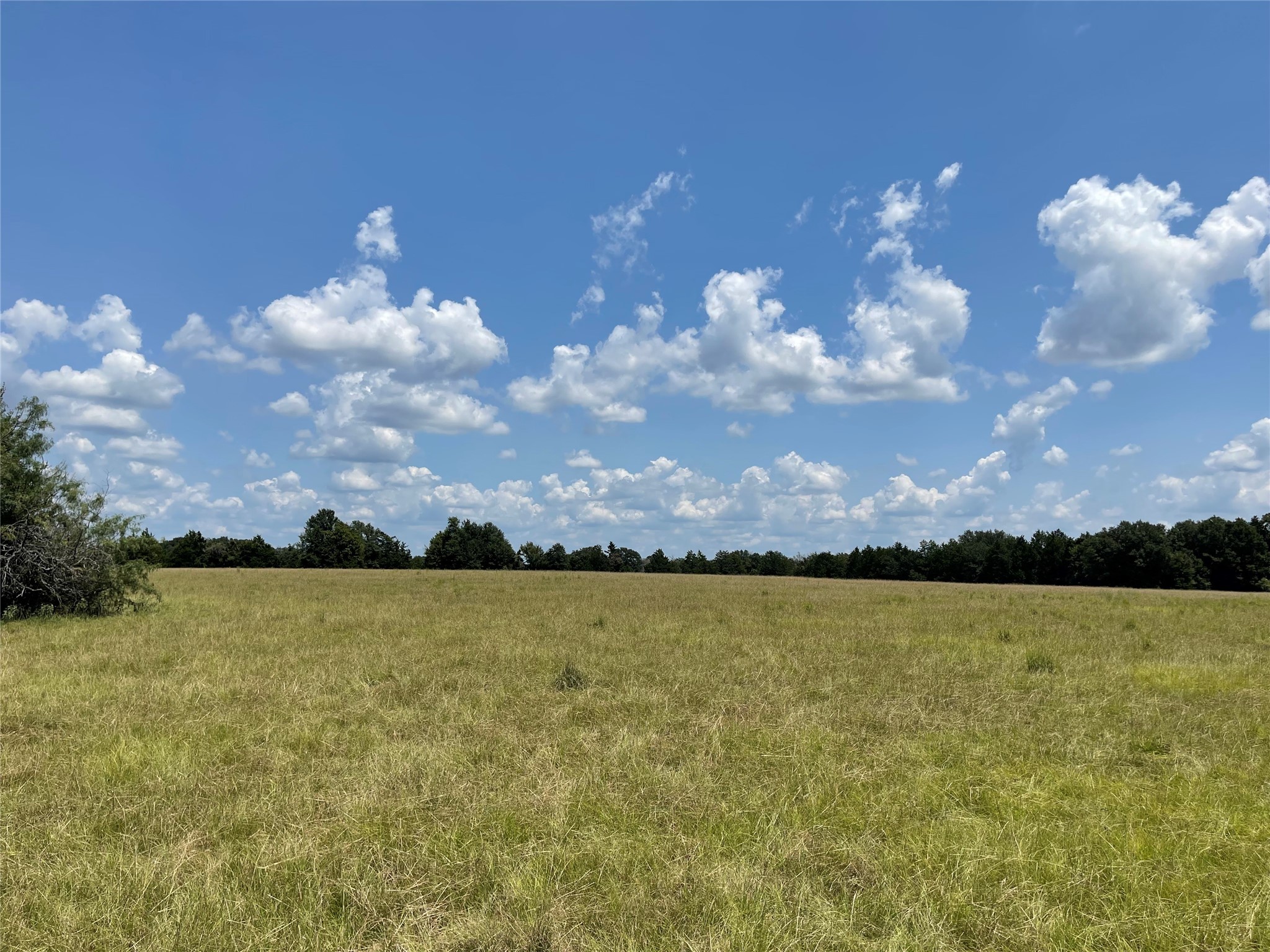 423 Lcr Groesbeck, TX 76642 - Photo 15 of 19 a view of lake and mountain