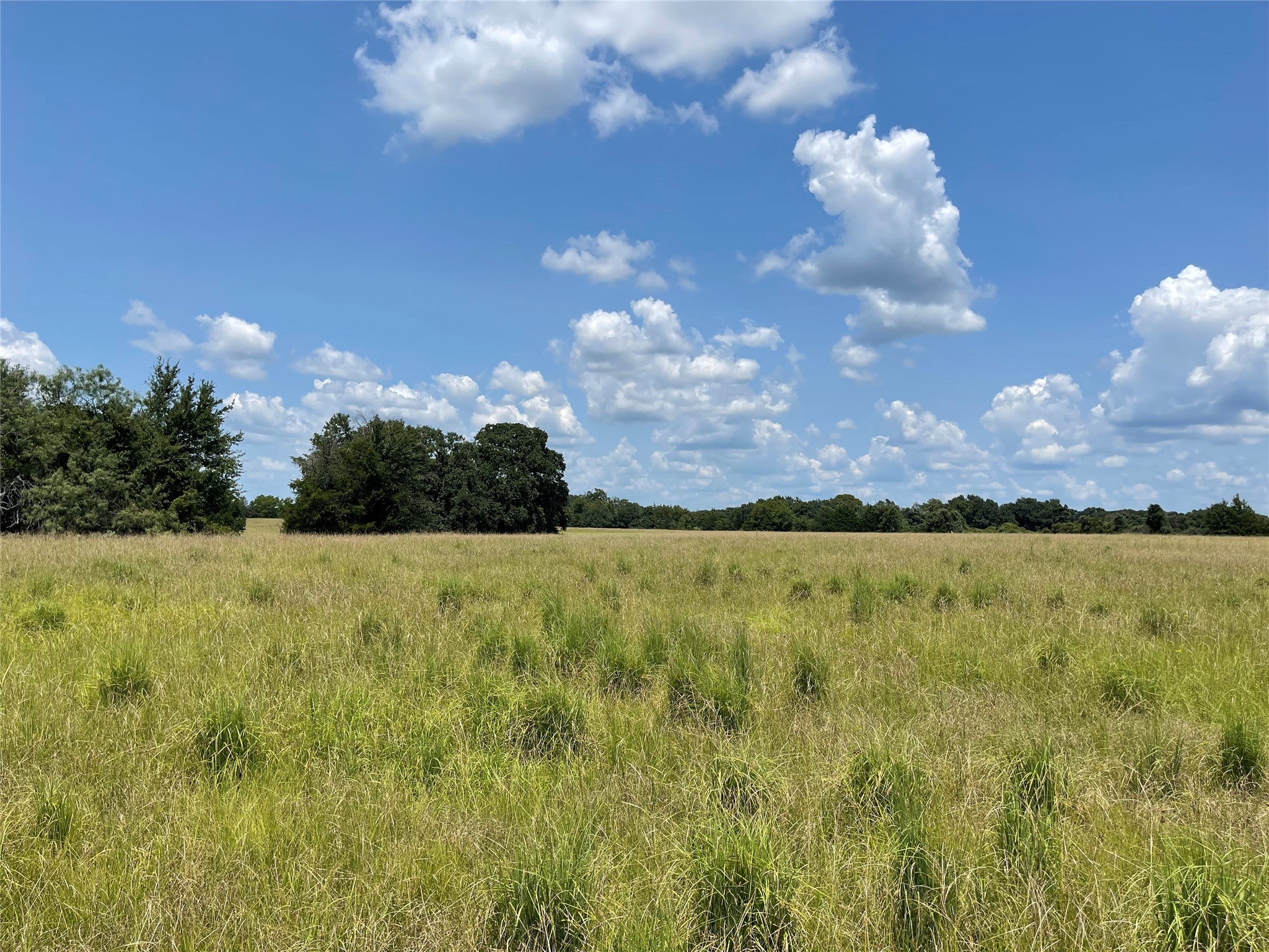 423 Lcr Groesbeck, TX 76642 - Photo 17 of 19 a view of an outdoor space and yard