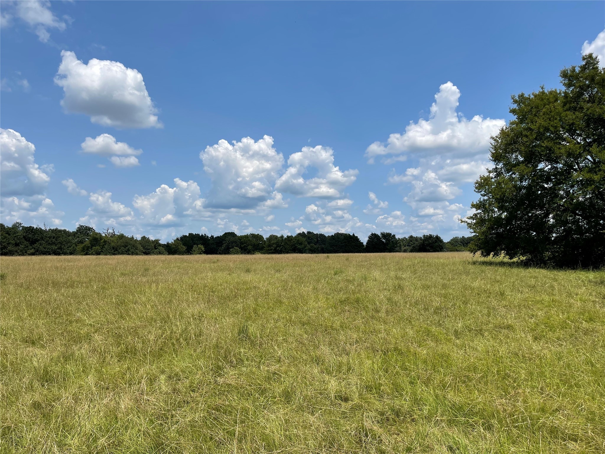 423 Lcr Groesbeck, TX 76642 - Photo 4 of 19 a view of a lake and sunset