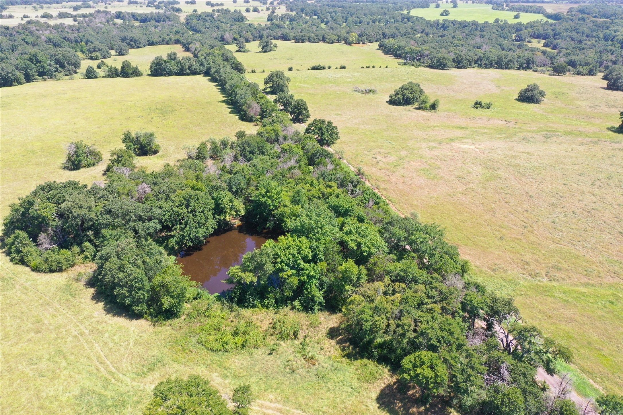 423 Lcr Groesbeck, TX 76642 - Photo 7 of 19