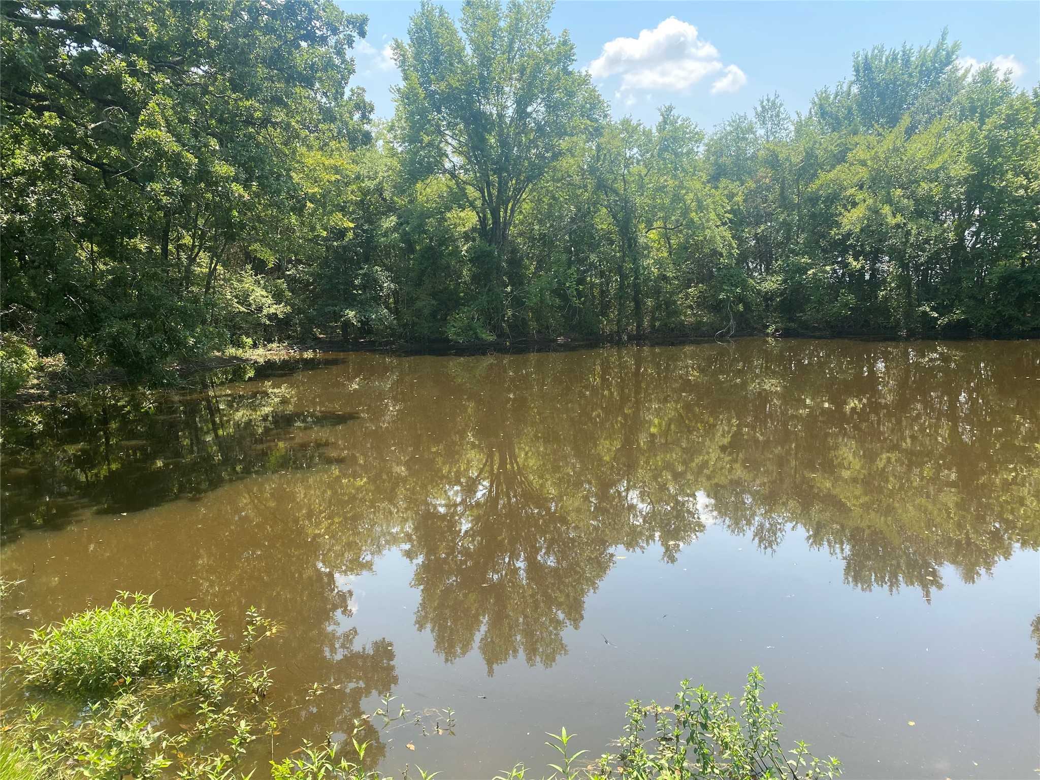 423 Lcr Groesbeck, TX 76642 - Photo 8 of 19 a view of lake