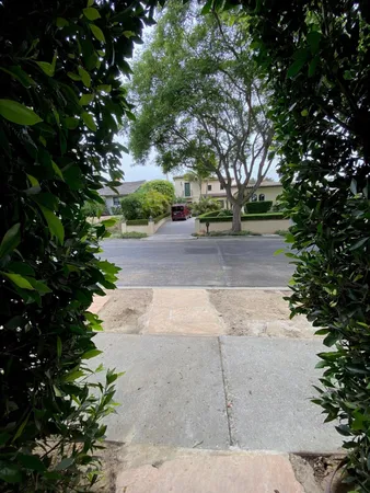 a view of a yard with plants and trees