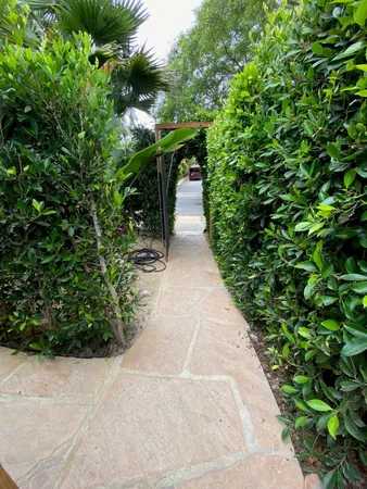 a view of a garden with pathway