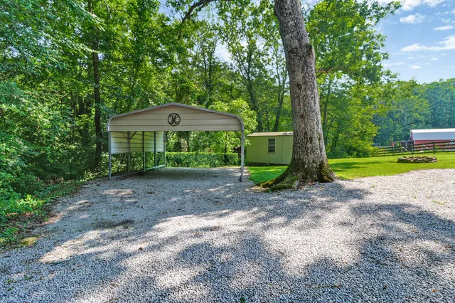 a view of a yard with a tree and a table