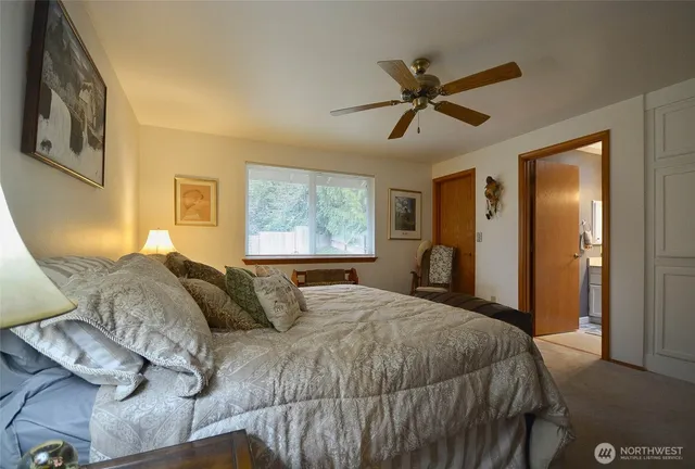a view of a backyard with large trees and plants
