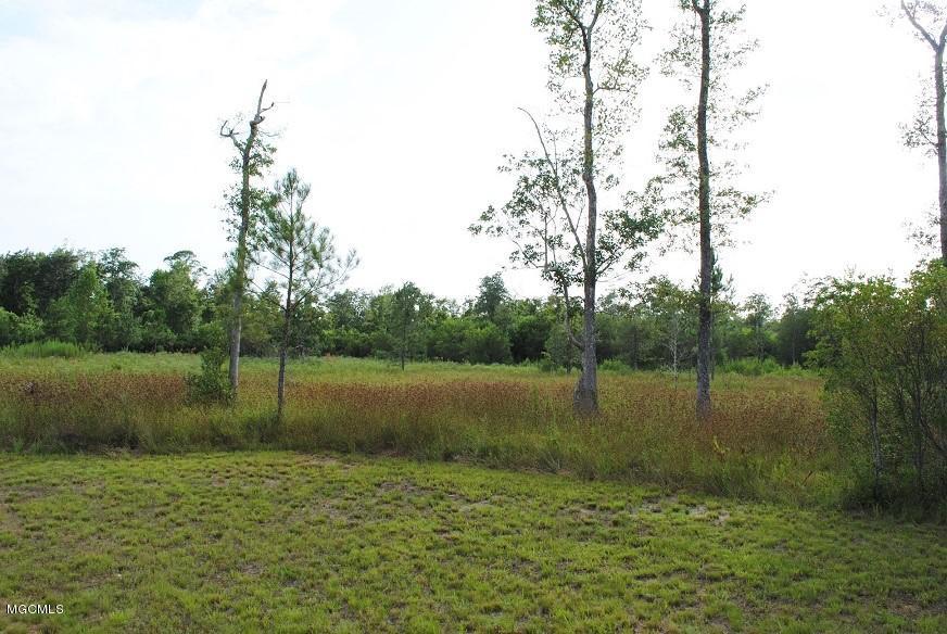 13048 Cable Bridge Road Pass Christian, MS 39571 - Photo 43 of 47 Land