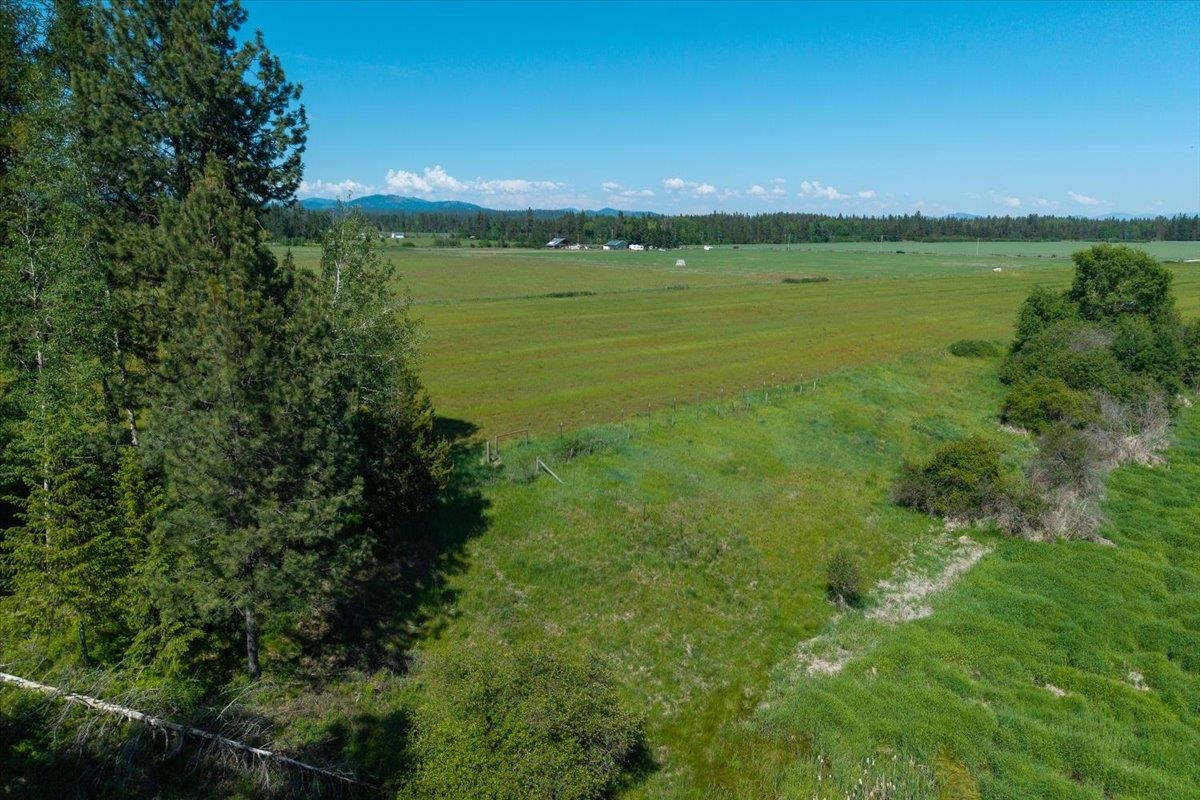 4668 Williams Valley Road Clayton, WA 99110 - Photo 40 of 44