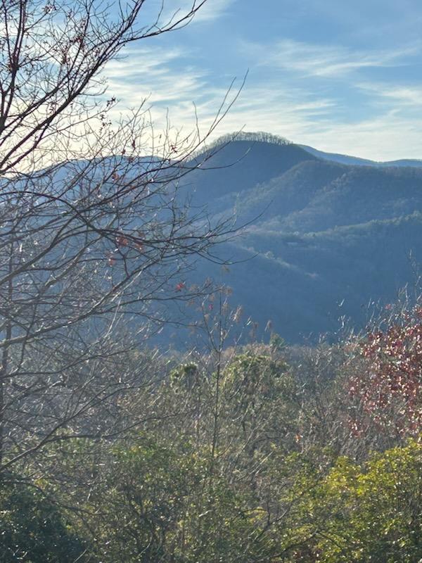 8 The Ridges Hiawassee, GA 30546 - Photo 1 of 4 Main View
