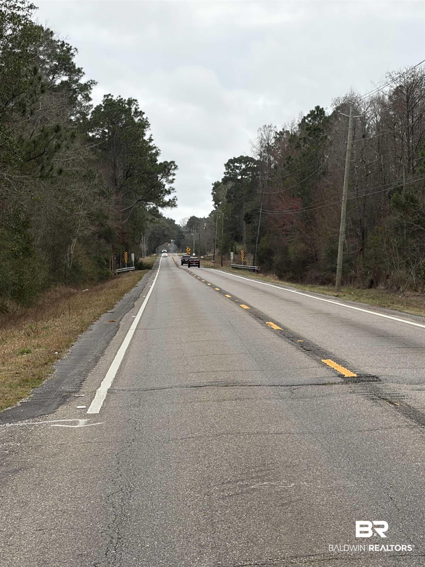 10585 Bellingrath Road Theodore, AL 36582 - Photo 12 of 14 View of asphalt street featuring view of scattered trees