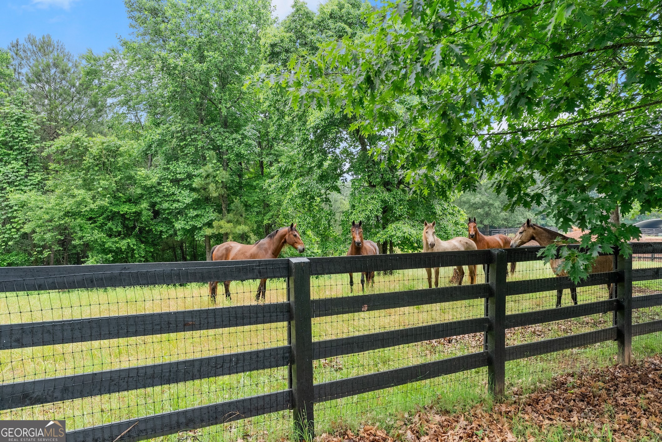 7215 Kelly Bridge Road Dawsonville, GA 30534 - Photo 50 of 81