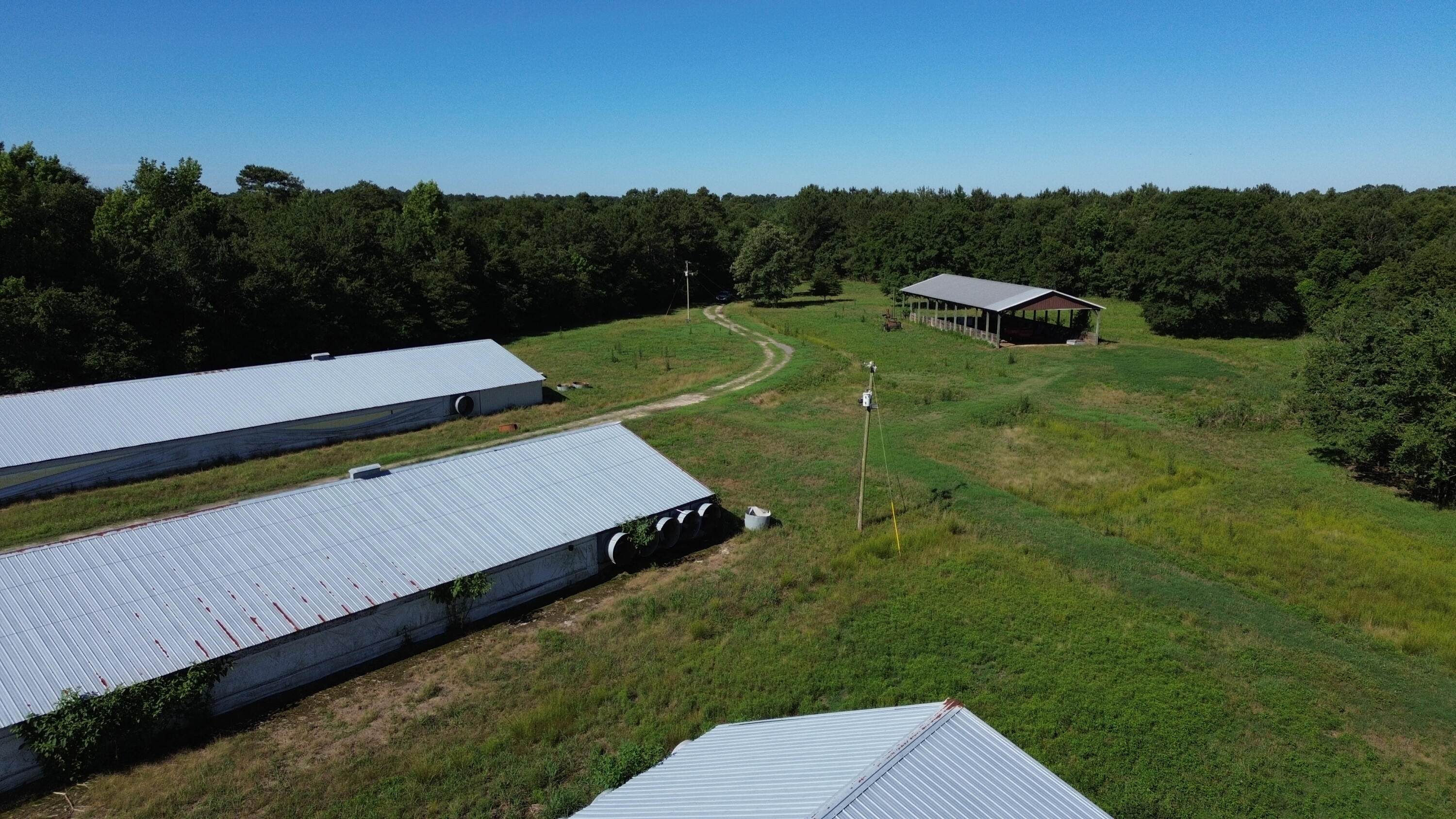 0 Holladay Road Manning, SC 29102 - Photo 20 of 35