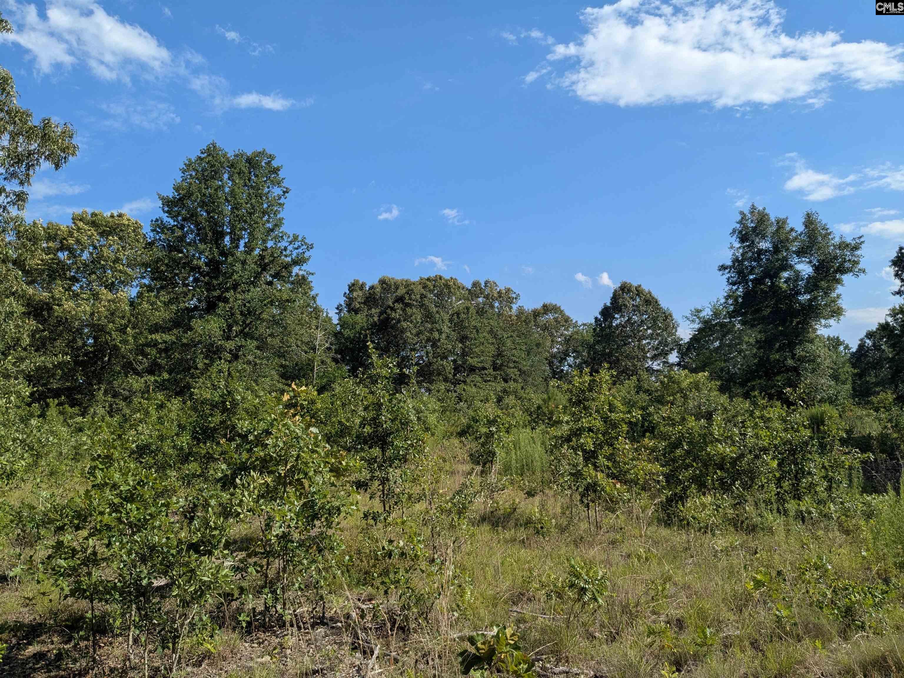 Hound Hollow Road Camden, SC 29020 - Photo 20 of 21 Gallery Image 20