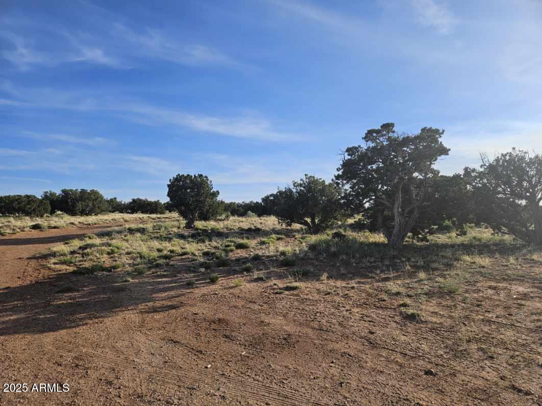 110 County Road Snowflake, AZ 85937 - Photo 2 of 14 a view of a dry yard with wooden fence