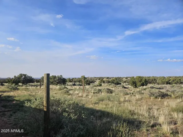 a view of a field with lots of trees in background
