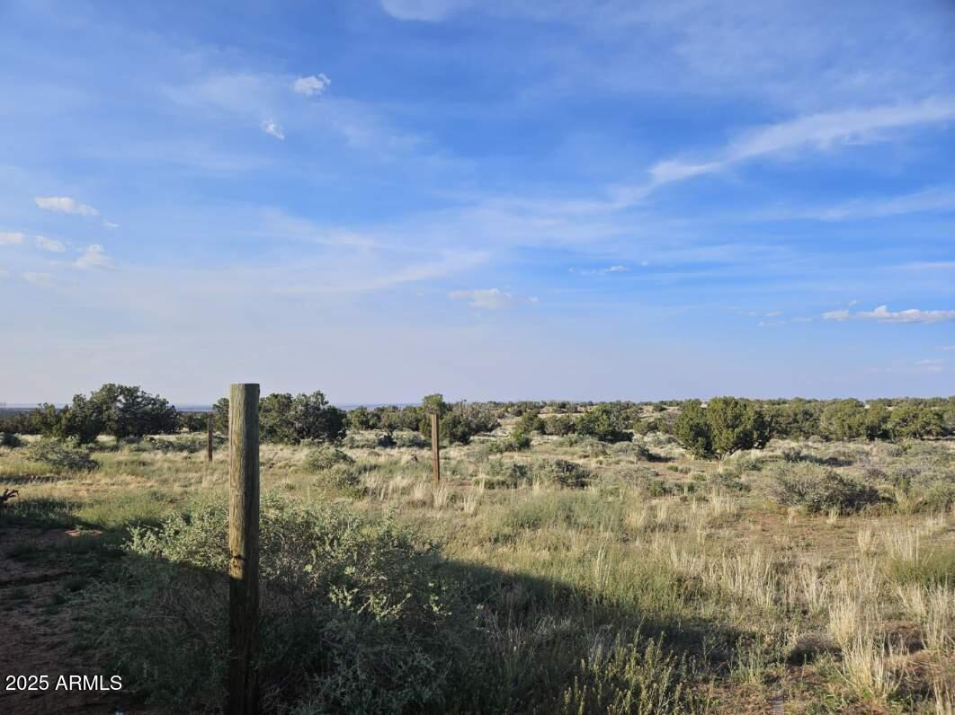 110 County Road Snowflake, AZ 85937 - Photo 3 of 14 a view of a field with lots of trees in background
