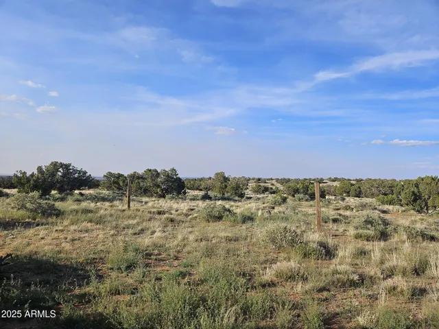 a view of a field with a mountain in the background