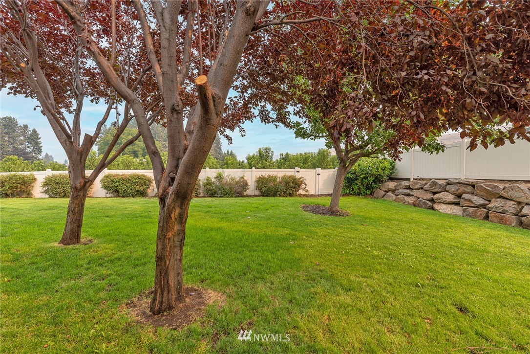 89 Springhill Drive East Wenatchee, WA 98802 - Photo 33 of 36 a view of yard with tree