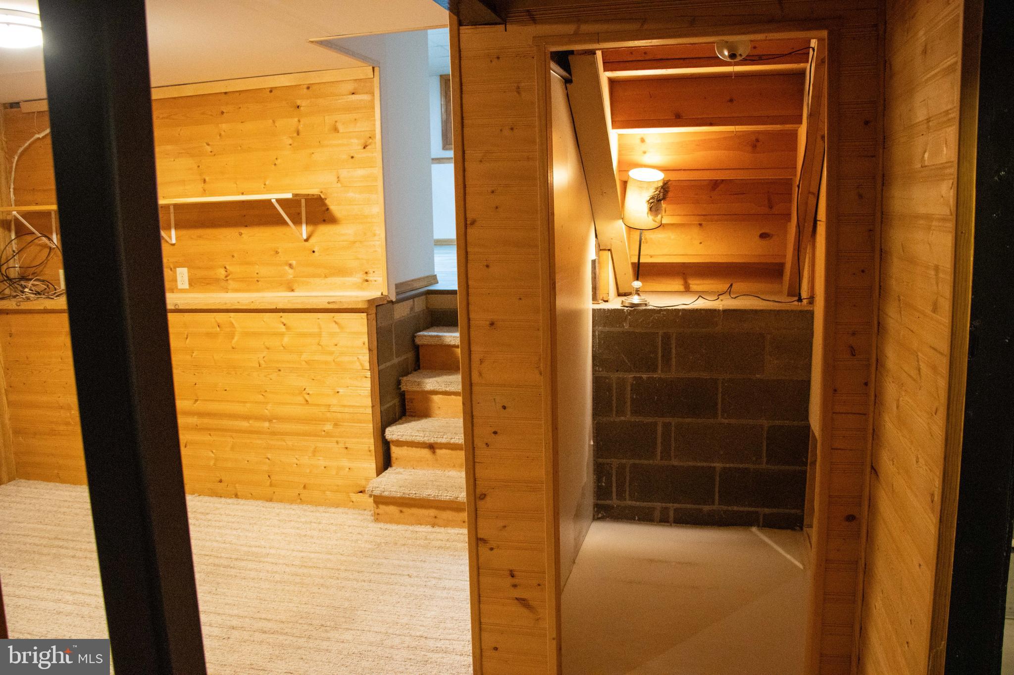 387 West Ridge Loop Road Romney, WV 26757 - Photo 54 of 58 Bottom Basement- small closet