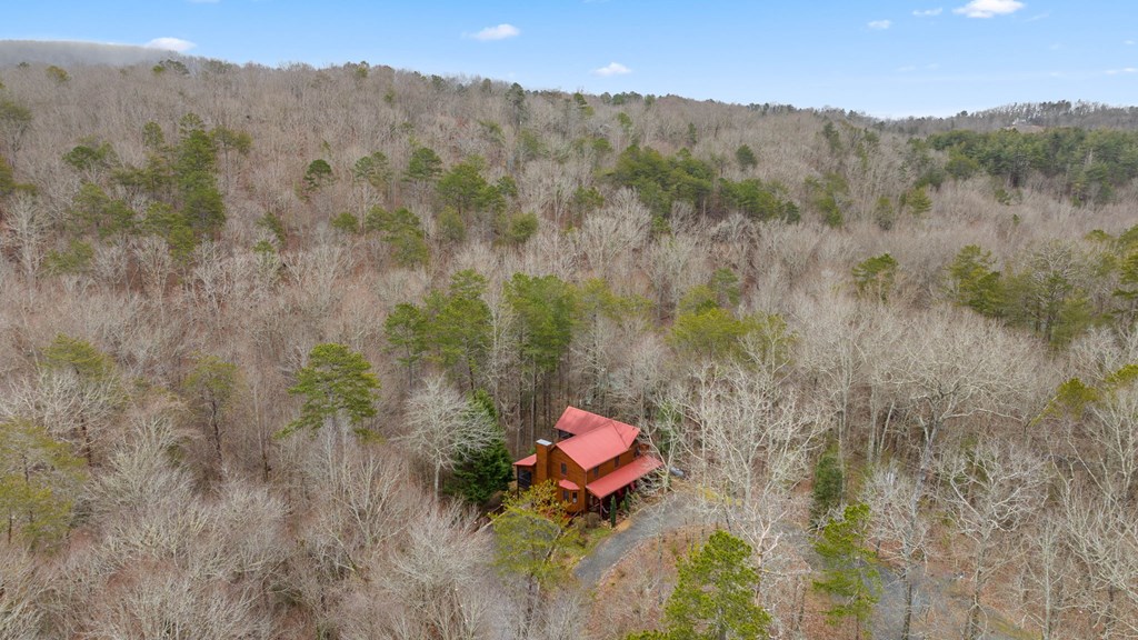 106 Oak Ridge Road Ellijay, GA 30536 - Photo 67 of 70 Gallery Image 67