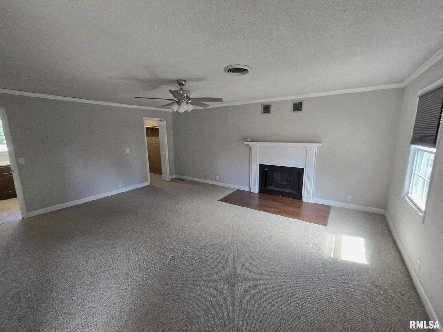 108 Mockingbird Lane Woodlawn, IL 62898 - Photo 44 of 59 an empty room with windows and fireplace