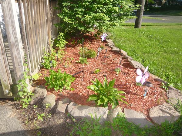 23 Ambrose Street Springfield, MA 01109 - Photo 3 of 15 a backyard with potted plants and large trees