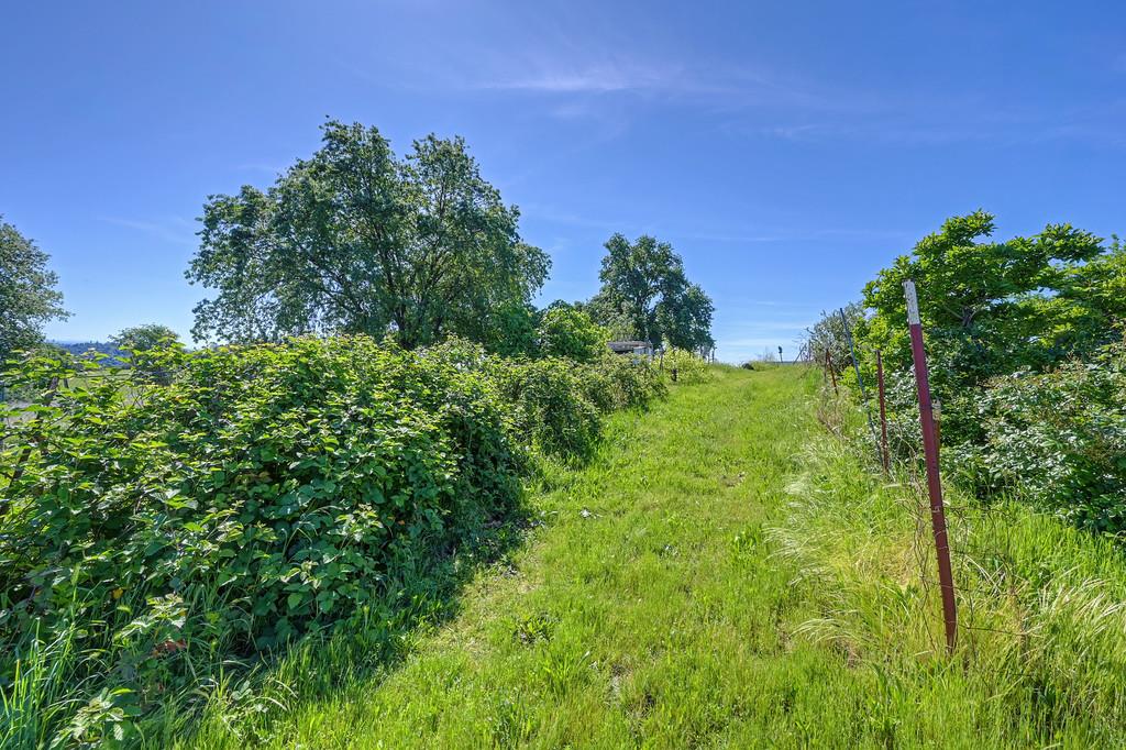 3303 Cherry Acres Road Cool, CA 95614 - Photo 80 of 83