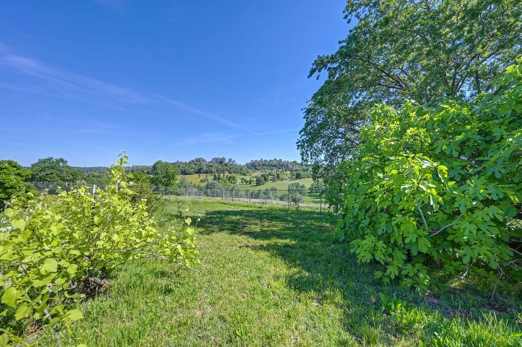 3303 Cherry Acres Road Cool, CA 95614 - Photo 82 of 83