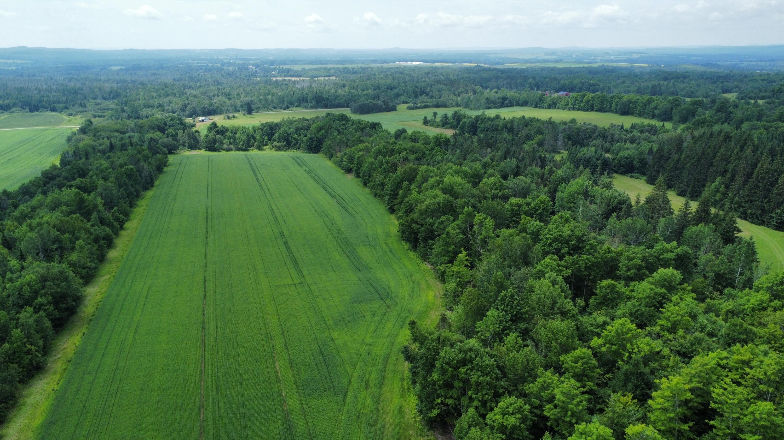 181 Gustin Road Blaine, ME 04734 - Photo 4 of 41 dji_fly_20240705_112956_517_172019344266