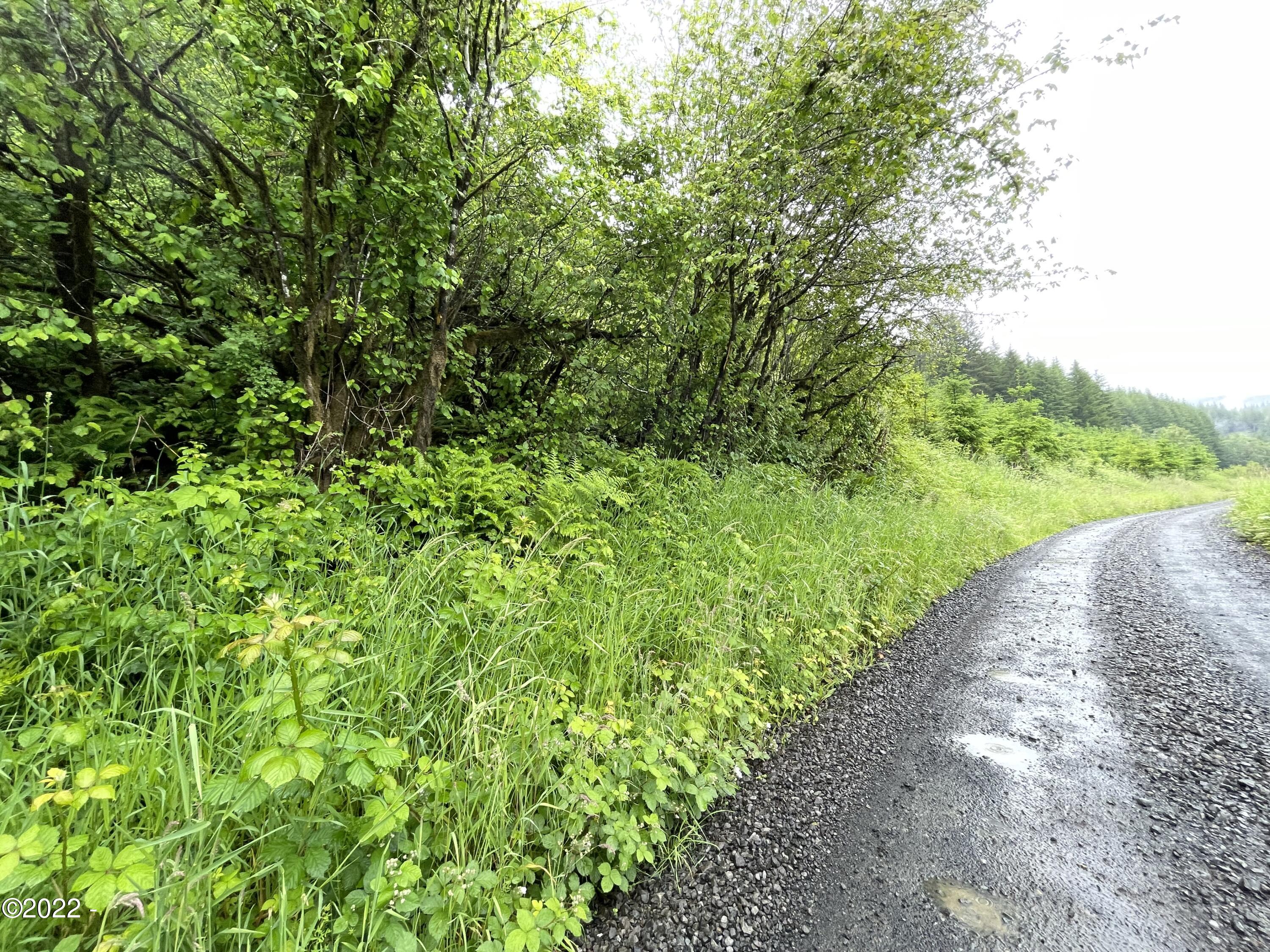 410 Mill Creek Road Toledo, OR 97391 - Photo 6 of 10 Lot from Mill Creek Rd