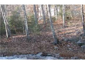 32 McCrillis Road Nottingham, NH 03290 - Photo 6 of 7