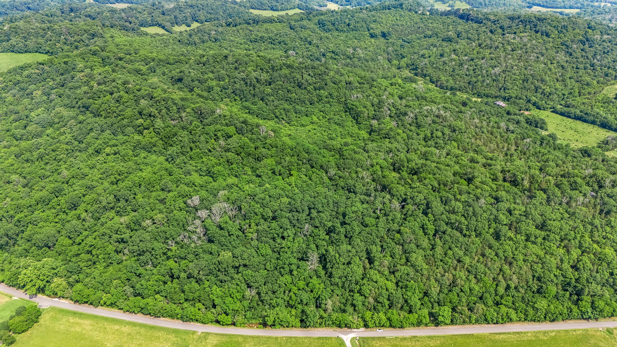 33 Lane Branch Road Fayetteville, TN 37334 - Photo 3 of 10