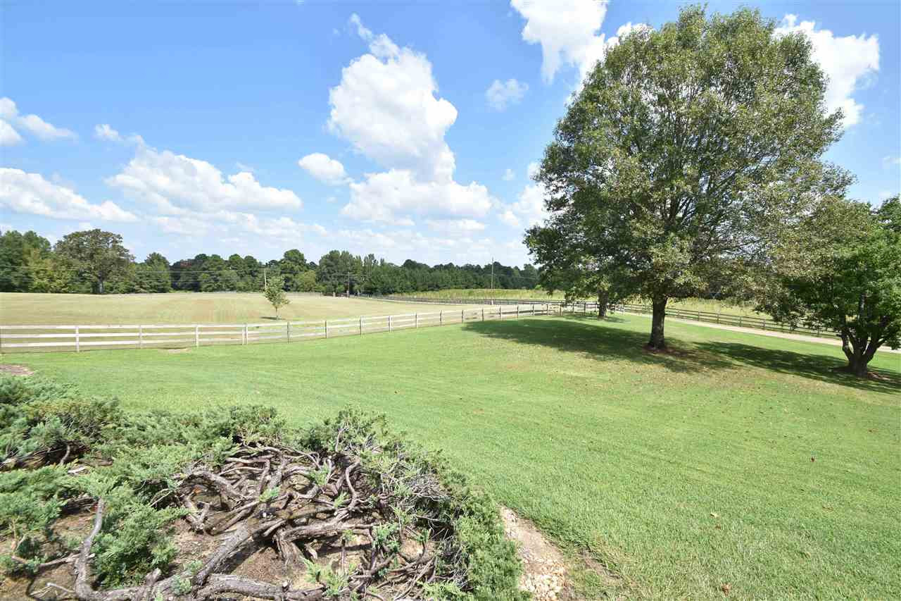 1343 Davis Road Terry, MS 39170 - Photo 3 of 50 Photo 3
