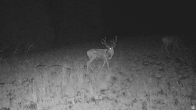 123 Tbd Monroe Canyon Road Monroe, UT 84754 - Photo 18 of 92 Image quality insufficient for description
