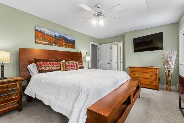 a bedroom with a bed and a tv