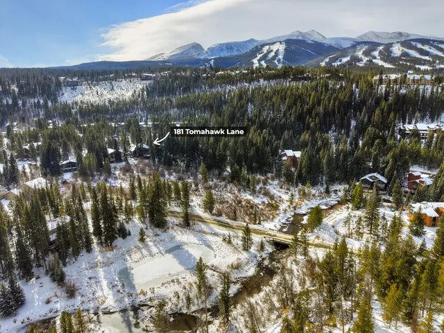 a view of a yard with plants and trees