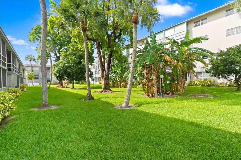 5800 Margate Boulevard, Unit 3463 Margate, FL 33063 - Photo 36 of 37 a view of a park with a tree