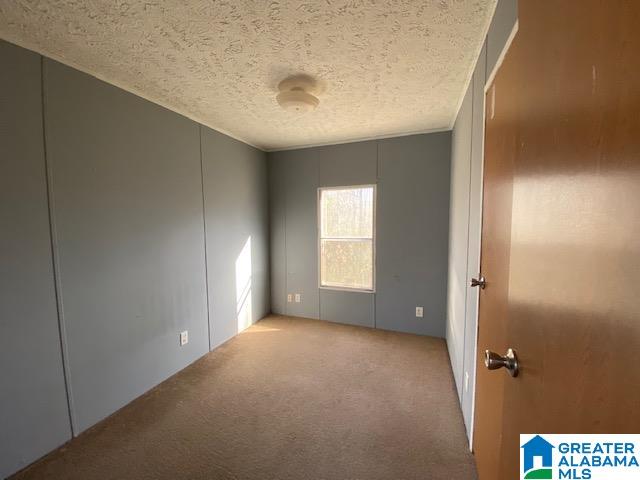 400 Mt Moriah Road Pell City, AL 35125 - Photo 16 of 48
