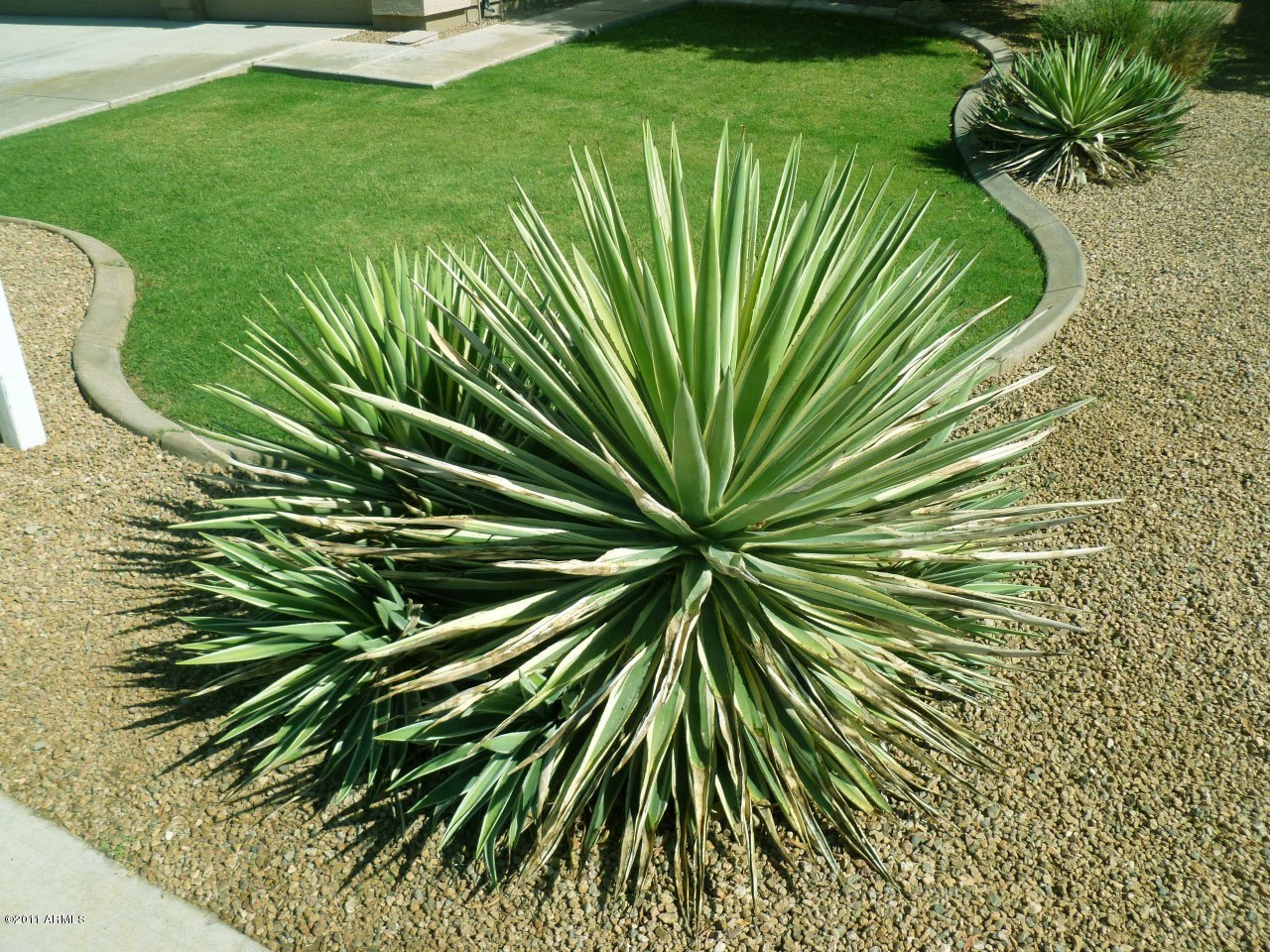 2775 East Harwell Road Gilbert, AZ 85234 - Photo 19 of 24 Landscape